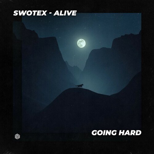 Swotex-Alive