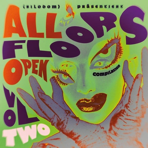 Various Artists-All Floors Open 2 Meets Summer