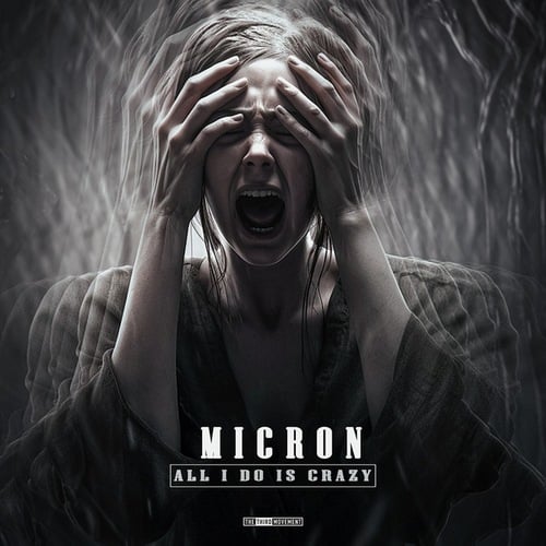 Micron-All I Do Is Crazy