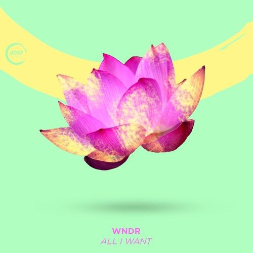 WNDR-All I Want