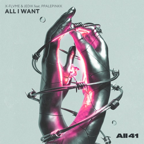 X-FLVME, JEDIK, Ppalepinkk-All I Want