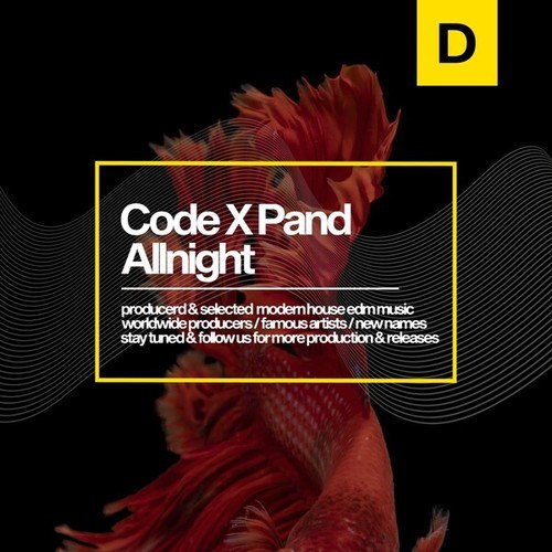 Code Xpand-All Night