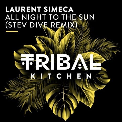 Laurent Simeca, Stev Dive-All Night to the Sun (Stev Dive Remix)