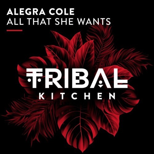 Alegra Cole-All That She Wants (Extended Mix)