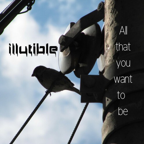 Illutible-All That You Want to Be