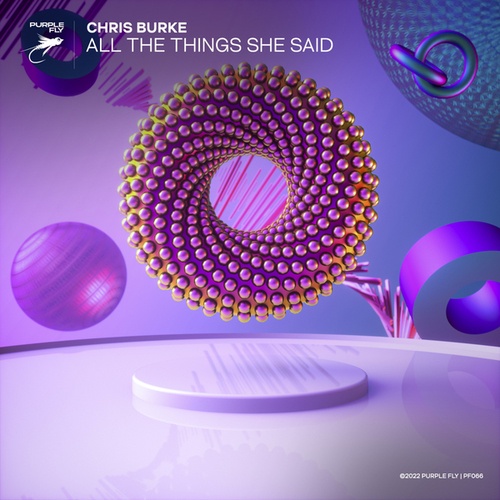 Chris Burke-All the Things She Said
