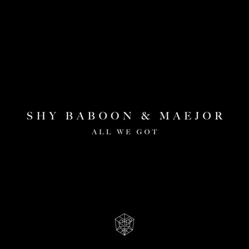 Shy Baboon, Maejor, Matisse & Sadko-All We Got