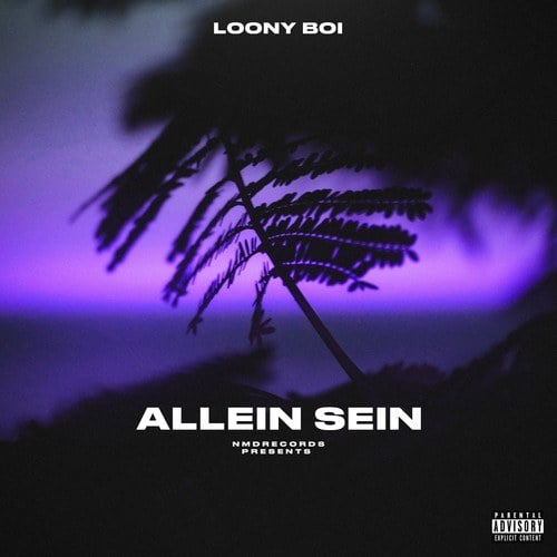 Loony Boi-Allein Sein
