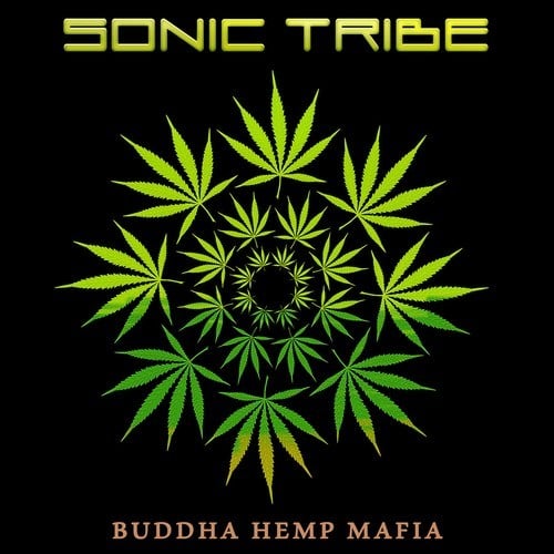 Sonic Tribe-Altruism