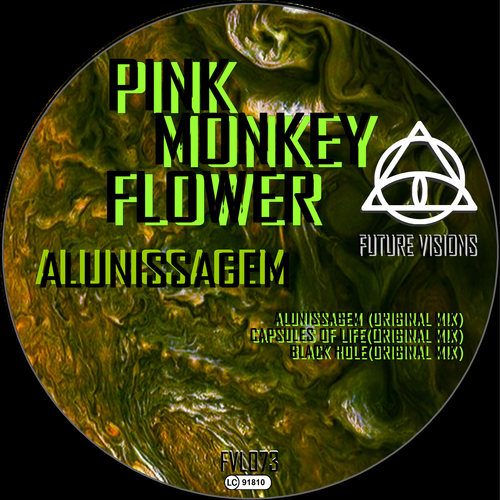 Pink Monkey Flower-Alunissagem