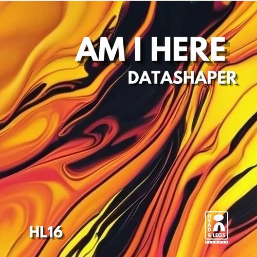 DataShaper-Am I Here