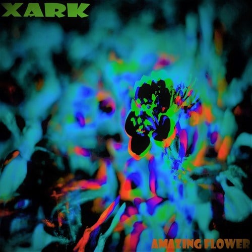 Xark-Amazing Flower