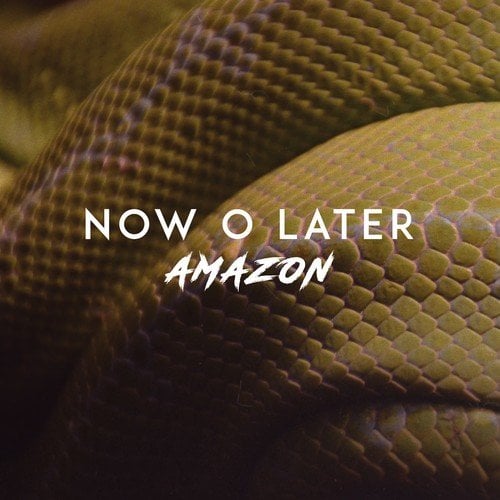 Now O Later-Amazon