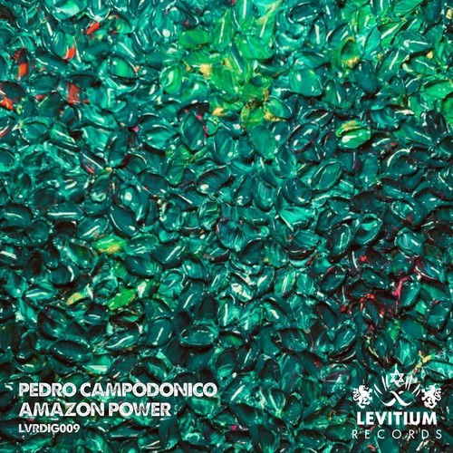 Pedro Campodonico-Amazon Power