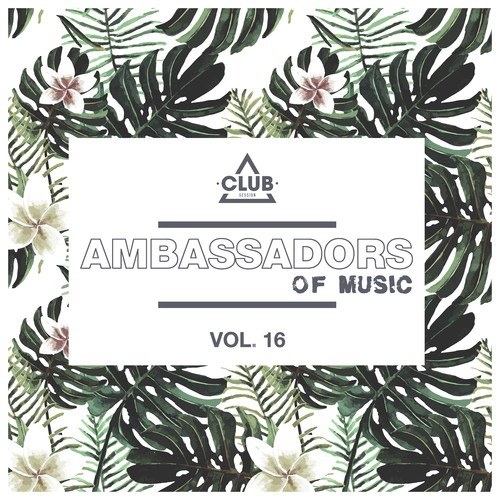 Various Artists-Ambassadors of Music, Vol. 16