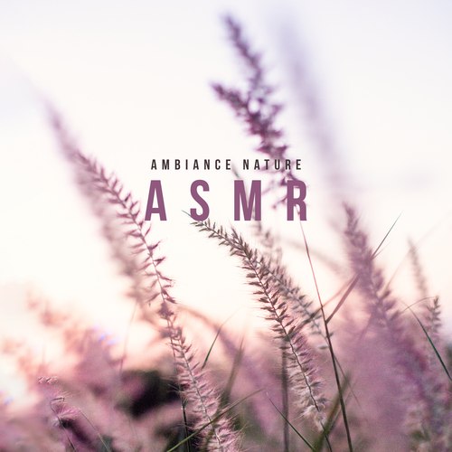 Ambiance Nature ASMR