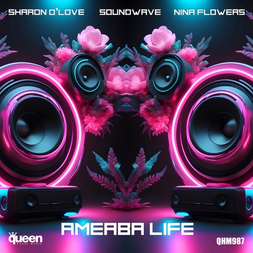 Soundwave, Nina Flowers, Sharon O'Love-Ameaba Life