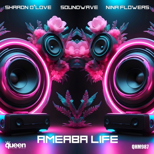 Sharon O'Love, Soundwave, Nina Flowers-Ameaba Life