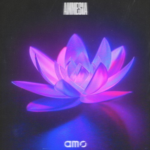 AmØ-Amnesia