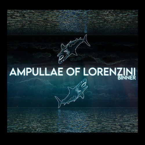 Binner-Ampullae of Lorenzini