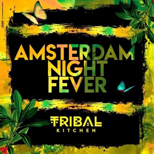 Various Artists-Amsterdam Night Fever