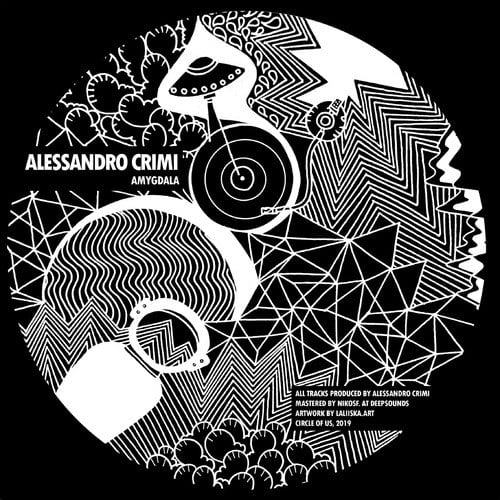 Alessandro Crimi-Amygdala