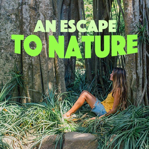 An Escape To Nature