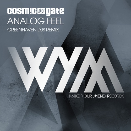 Cosmic Gate-Analog Feel