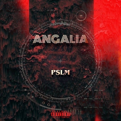 P$LM-ANGALIA