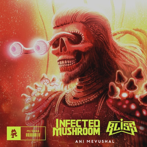 Infected Mushroom, Bliss-Ani Mevushal