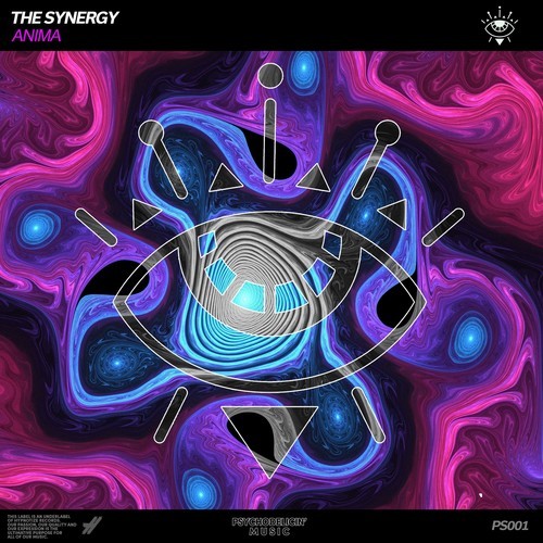 The Synergy-Anima