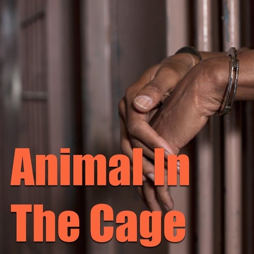 Various Artists-Animal In The Cage