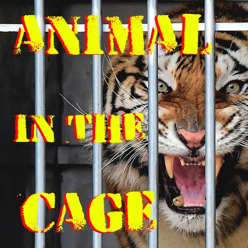 Animal In The Cage