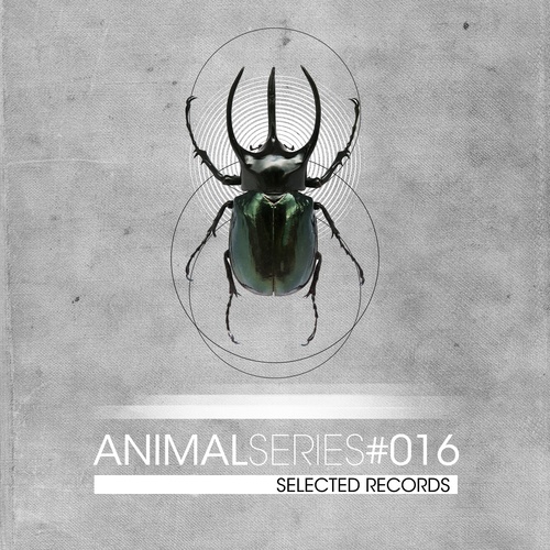 Animal Series 016