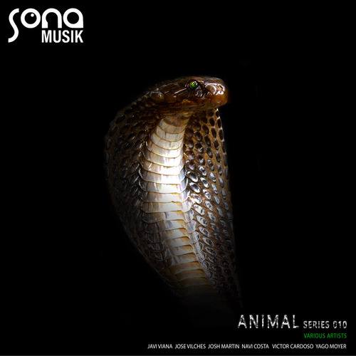Animal Series