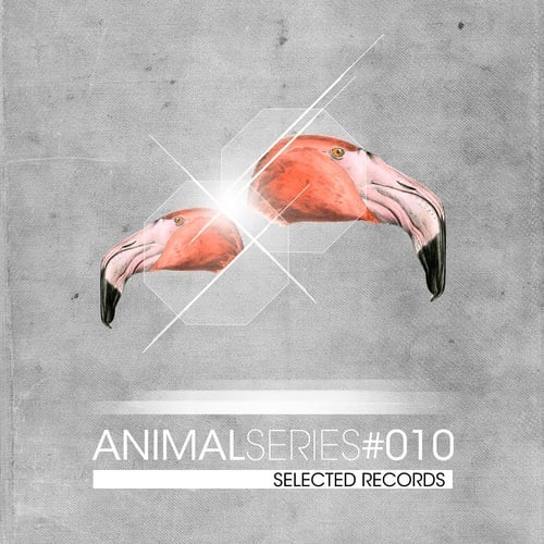 Animal Series Vol. 10