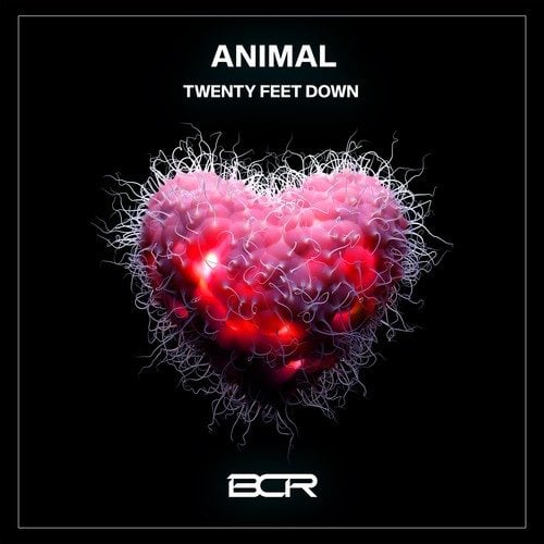 Twenty Feet Down-Animal