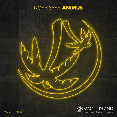 Noah Shah-Animus