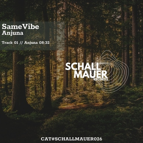 Same Vibe-Anjuna