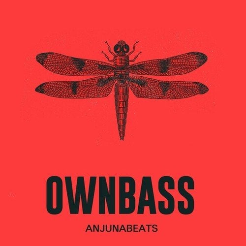 OWNBASS-Anjunabeats