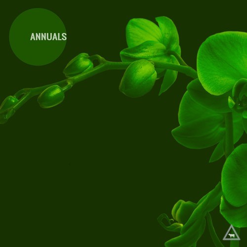 Various Artists-Annuals