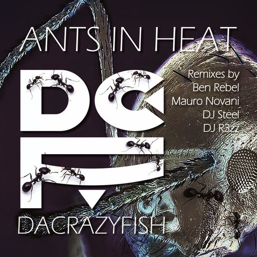 DaCrazyFish, Ben Rebel, Mauro Novani, DJR3ZZ, DJ Steel-Ants in Heat (The Remixes)