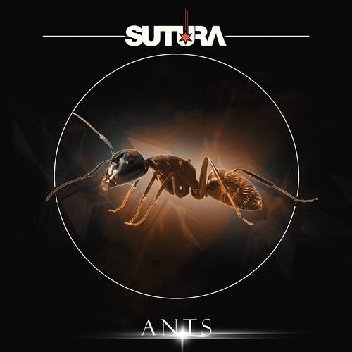 Sutura-Ants