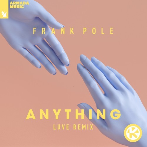 Anything (LUVE Remix)