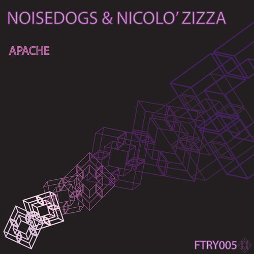 Noisedogs, Nicolò Zizza-Apache