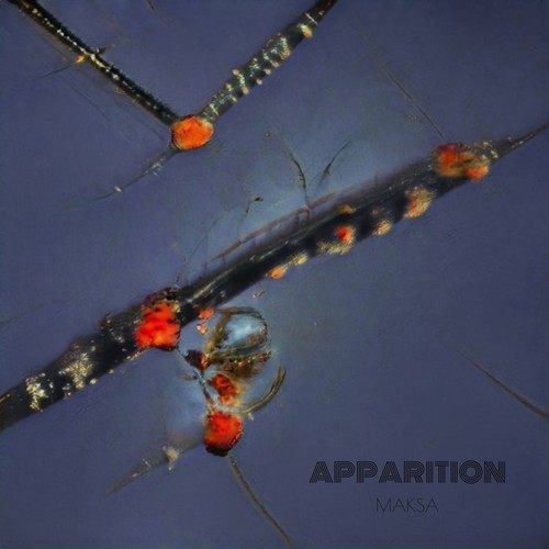 Apparition (Wd001)