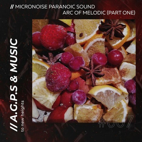 Micronoise Paranoic Sound-Arc of Melodic (Part One)