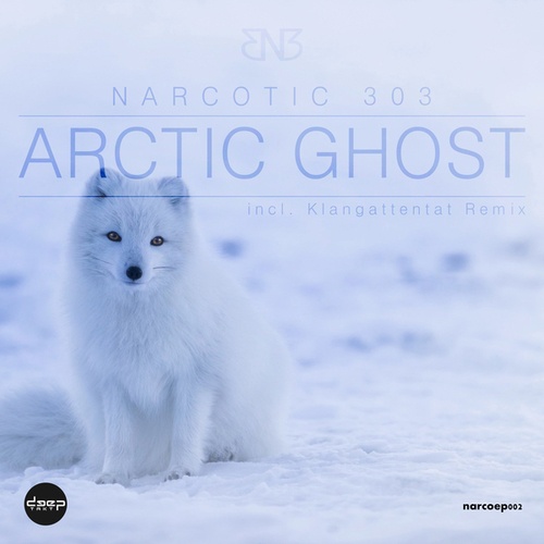 Narcotic 303, Klangattentat-Arctic Ghost