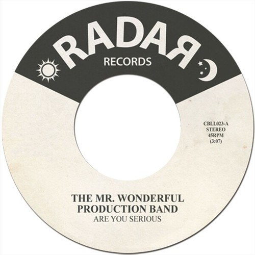 The MR. Wonderful Production Band.-Are You Serious