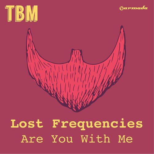 Lost Frequencies-Are You With Me